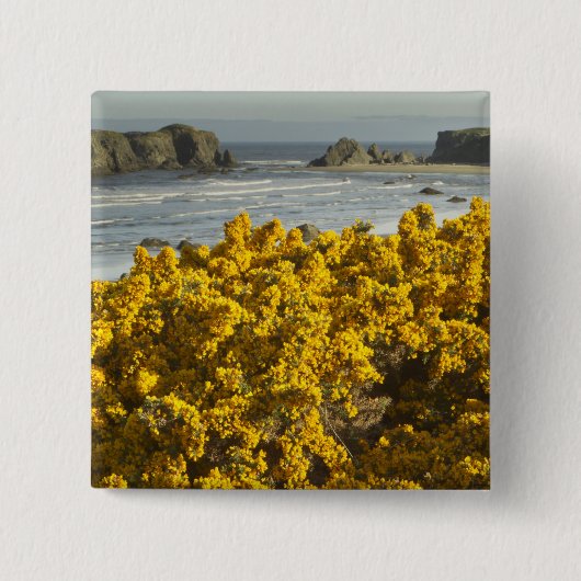 Küstensicht, Bandon, Oregon Button (Vorderseite)