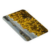 Küstensicht, Bandon, Oregon Magnet (Rechte Seite)