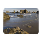 Küstensicht, Bandon, Oregon Magnet (Horizontal)