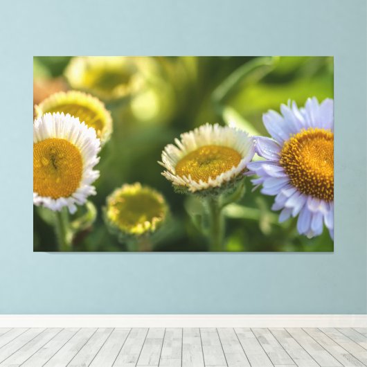 Küstenstämme Leinwanddruck (Insitu (Holzboden))