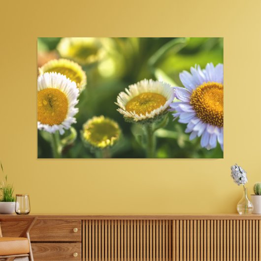 Küstenstämme Leinwanddruck (Insitu (Wohnzimmer))