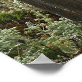 Küstenstreifen Poster (Ecke)