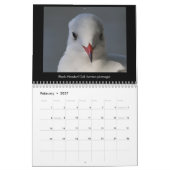 Küstentierkalender 2018 Norfolks (Großbritannien) Kalender (Feb 2027)