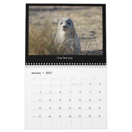 Küstentierkalender 2018 Norfolks (Großbritannien) Kalender (Jan 2027)