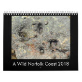 Küstentierkalender 2018 Norfolks (Großbritannien) Kalender (Titelbild)