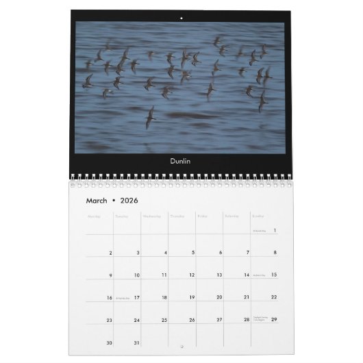 Küstentierkalender 2018 Norfolks (Großbritannien) Kalender (Mär 2026)