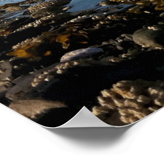 Küstenwache Cutter Morgenthau Poster (Ecke)