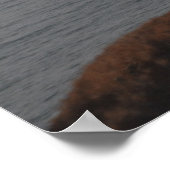 Küstenwache MH-60 Jayhawk-Hubschrauber Poster (Ecke)