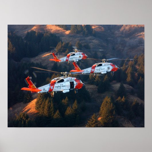 Küstenwache MH-60 Jayhawk-Hubschrauber Poster (Vorne)