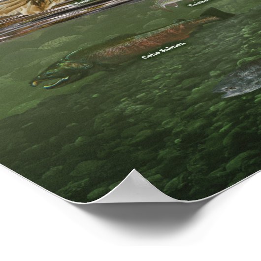 Küstenwaldplakat Poster (Ecke)