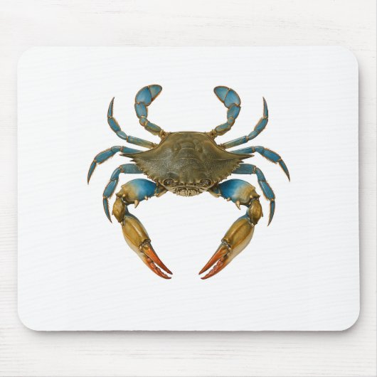 Küstenzone Mousepad (Vorne)