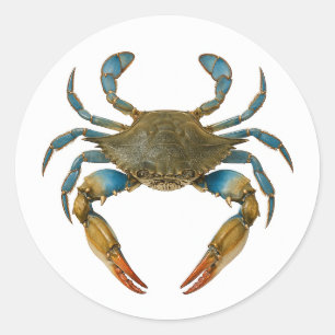 Küstenzone Runder Aufkleber