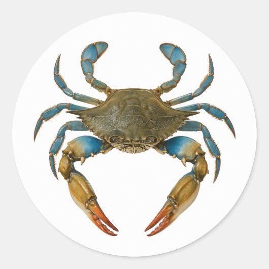 Küstenzone Runder Aufkleber (Vorderseite)