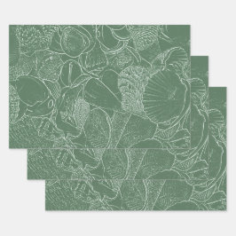 Küstermeeres-Muschelstrand Grün-Weiß-Decoupage Geschenkpapier Set