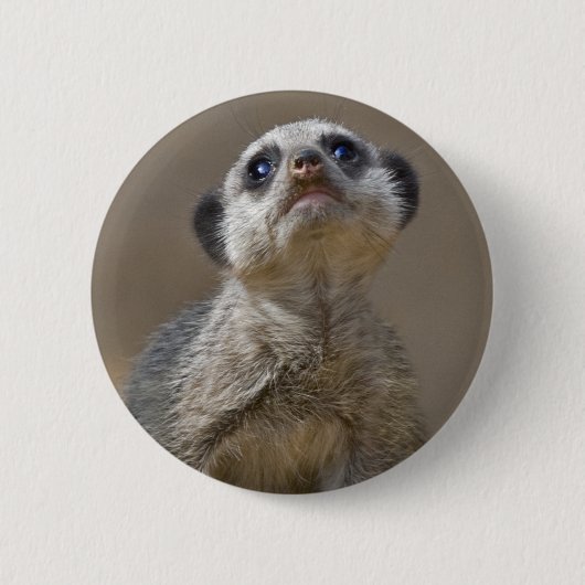 Kute Kat Abzeichen Button (Vorderseite)
