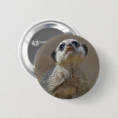 Kute Kat Abzeichen Button (Vorne & Hinten)