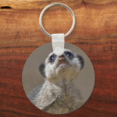 Kute Kat Keyring Schlüsselanhänger (Vorderseite)