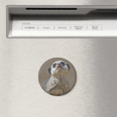 Kute Kat Magnet (In Situ (Geschirrspüler))