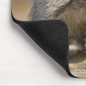 Kute Kat Mousemat Mousepad (Ecke)