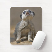 Kute Kat Mousemat Mousepad (Mit Mouse)