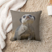 Kute Kat Pillow Kissen (Decke)