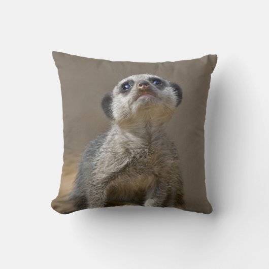 Kute Kat Pillow Kissen (Vorderseite)