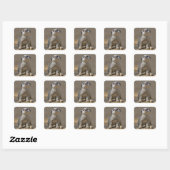 Kute Kat Stickers (Blatt)