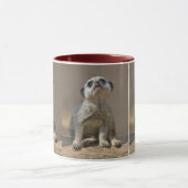 Kute Kat Tasse (Zentrum)