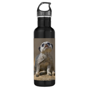 Kute Kat Trinkflasche