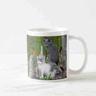 Kute Kätzchen Kaffeetasse