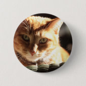 Kute Kitty! Button (Vorderseite)