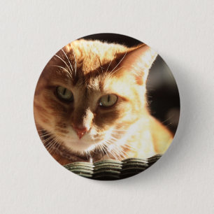 Kute Kitty! Button
