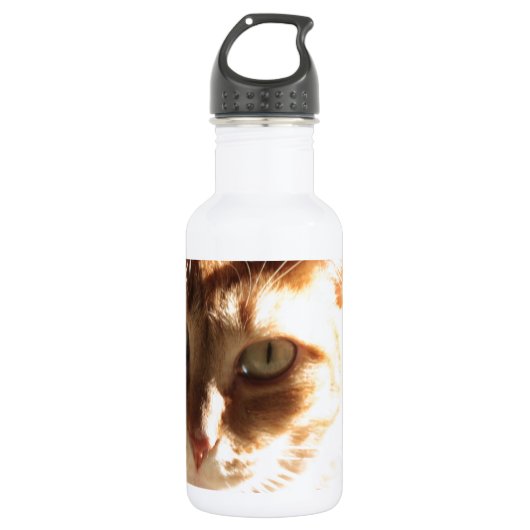 Kute Kitty! Edelstahlflasche (Vorderseite)