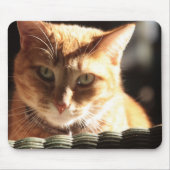 Kute Kitty! Mousepad (Vorne)