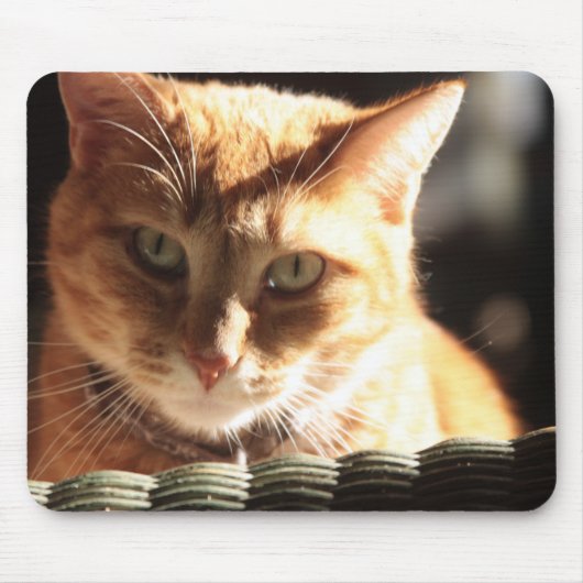 Kute Kitty! Mousepad (Vorne)