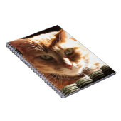 Kute Kitty! Notizblock (Rechte Seite)