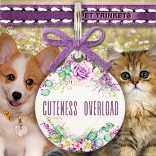 Kutness Overload Lavendel Rose Bläschen Haustiermarke