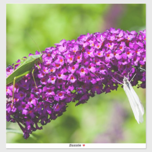 Kuttenenergie Aufkleber (Blatt)