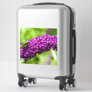 Kuttenenergie Aufkleber