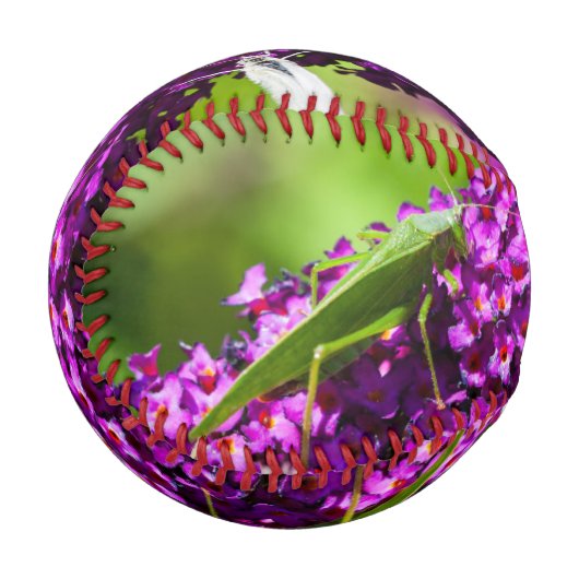 Kuttenenergie Baseball (Vorderseite Links)