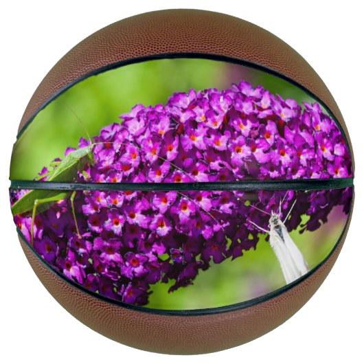 Kuttenenergie Basketball (Vorderseite)