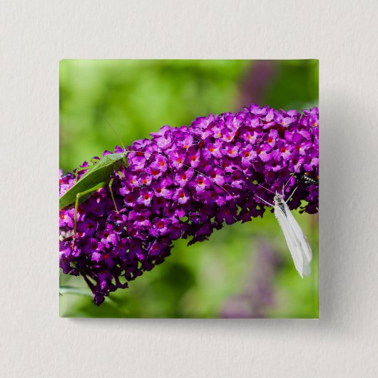 Kuttenenergie Button (Vorderseite)