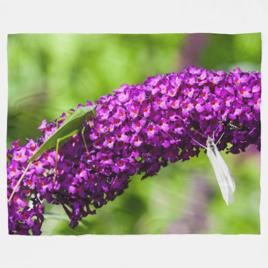 Kuttenenergie Fleecedecke (Vorderseite (Horizontal))