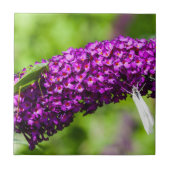 Kuttenenergie Fliese (Vorderseite)