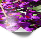 Kuttenenergie Fotodruck (Ecke)