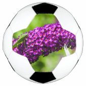 Kuttenenergie Fußball (Vorderseite)