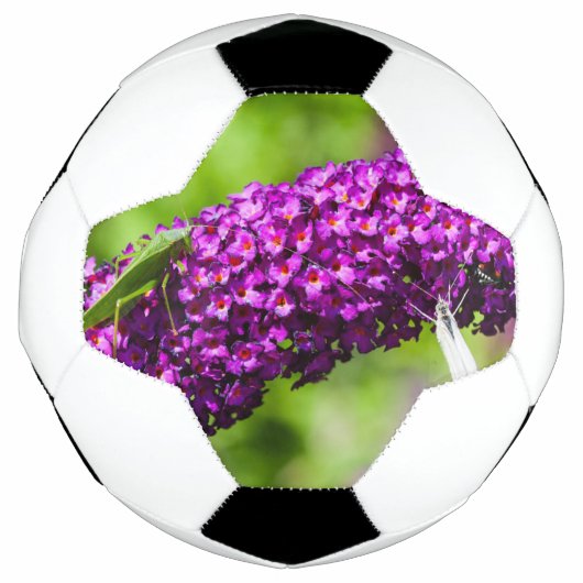 Kuttenenergie Fußball (Vorderseite)