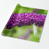 Kuttenenergie Geschenkpapier (Ungerollt)