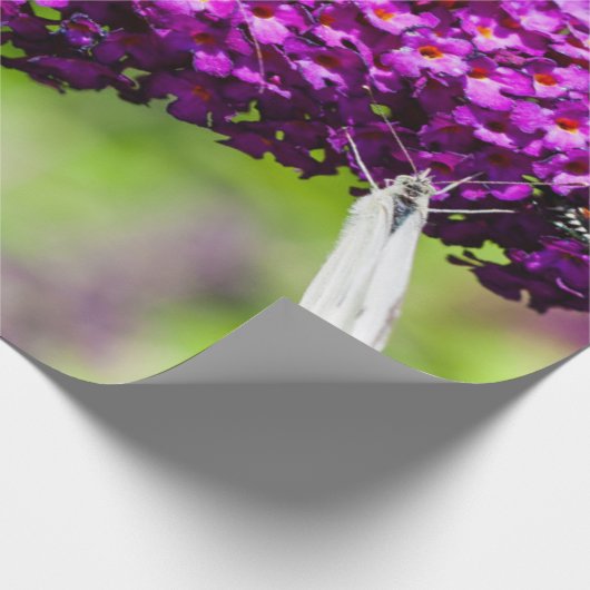 Kuttenenergie Geschenkpapier (Ecke)