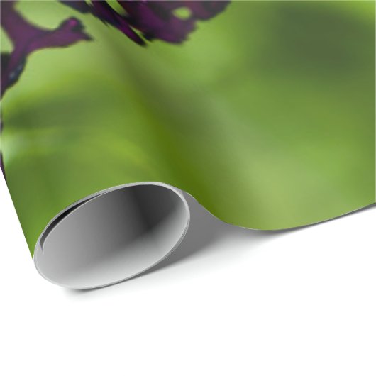 Kuttenenergie Geschenkpapier (Rolleneckpunkt)